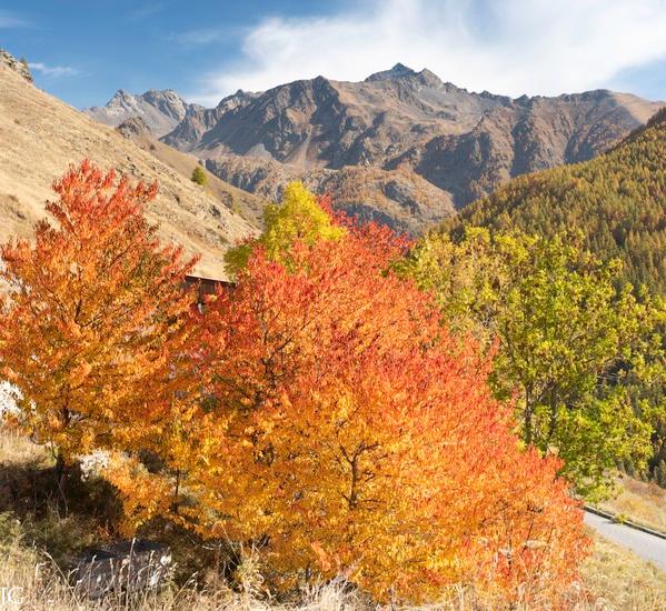 Automne - Où et quand trouver les plus belles couleurs ?